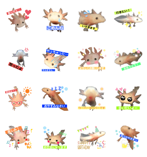 かわいいウーパールーパーの赤ちゃん Lineスタンプマニア クリエイターズスタンプ かわいいウーパールーパーの赤ちゃん Lineスタンプマニア クリエイターズスタンプ