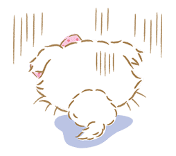 Charmmykitty sticker #43891