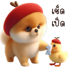 หมาปอมหมวกแอปเปิ้ล