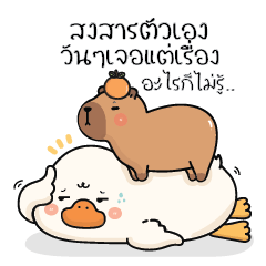 พะโล้ห่านน่ารัก & คาปิบาร่าเอง V.5