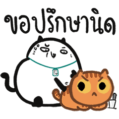 ปลาฉ้มฝึกงาน