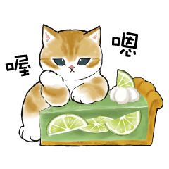 Cat sweets! 3