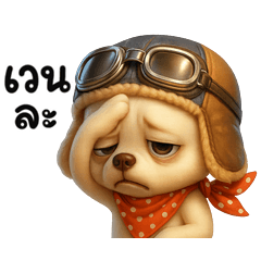 ชิวาว่า มึน2