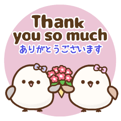 ���œ`���� ! �V�}�G�i�K[�p���a]