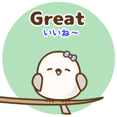 �������I�g����X�^���v[ �p��&���{�� ]