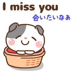 �������I�����Ǝg����X�^���v[ �p&�a ]