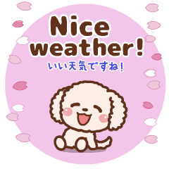 �������I�t�̃g�[�N♡�v�[�h��[ �p&�a ]