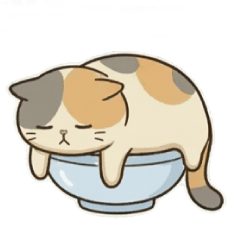 ぐうたら猫ののんびり生活