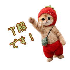 唐草ポーチのいちごニット猫