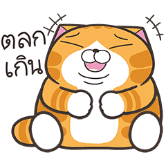 เหมียวซ่า: เจ้าพ่อคำพ้อง