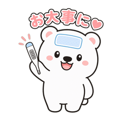 cute cat 202605ver10
