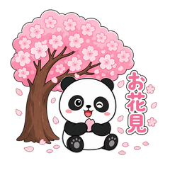 cute panda 202605ver8