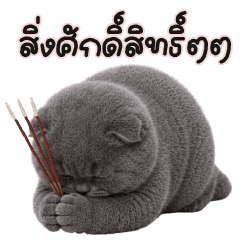 แมวเทาอวบอ้วนน่ารัก