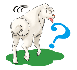 Maison Ikkoku sticker #2872648