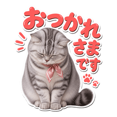 リアルねこのOL敬語・気づかい