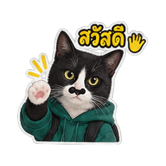 CITY CAT GANG BY CAT4