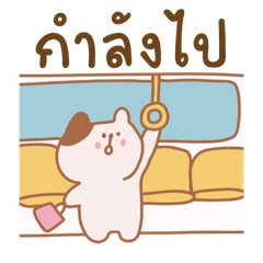 A lovely cat TH