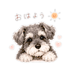 ヨメちゃんの暮らし【愛犬ver】