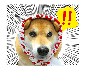 Shiba Maru sticker #10980313