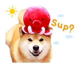 Shiba Maru sticker #10980316