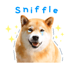 Shiba Maru sticker #10980319