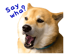 Shiba Maru sticker #10980322