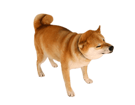 Shiba Maru sticker #10980323