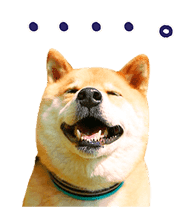 Shiba Maru sticker #10980326