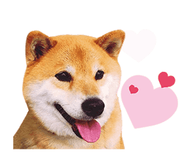 Shiba Maru sticker #10980328