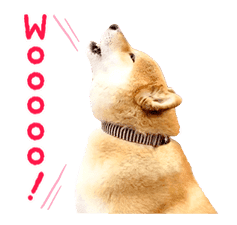 Shiba Maru sticker #10980335