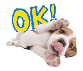 THE DOG sticker #11657832