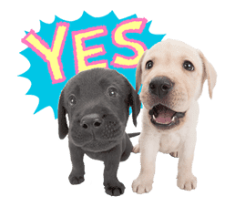 THE DOG sticker #11657834