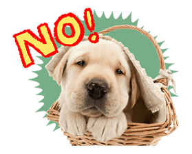 THE DOG sticker #11657835