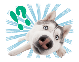 THE DOG sticker #11657836