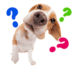 THE DOG sticker #11657837