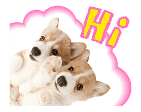 THE DOG sticker #11657838