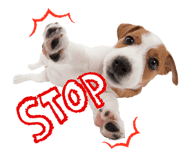 THE DOG sticker #11657839