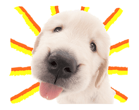 THE DOG sticker #11657840