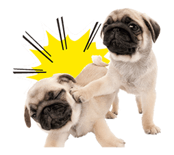 THE DOG sticker #11657841