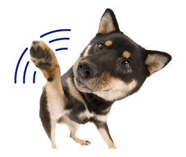 THE DOG sticker #11657843