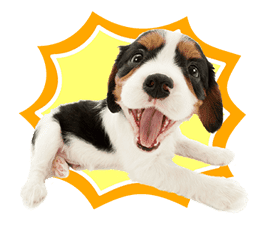 THE DOG sticker #11657844