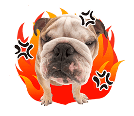 THE DOG sticker #11657845