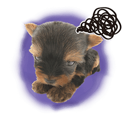 THE DOG sticker #11657846