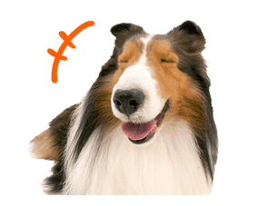 THE DOG sticker #11657847