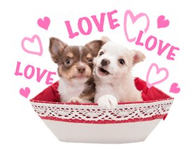 THE DOG sticker #11657849