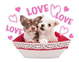 THE DOG sticker #11657849