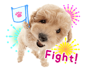 THE DOG sticker #11657853