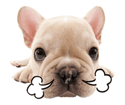 THE DOG sticker #11657857