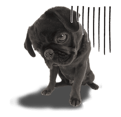 THE DOG sticker #11657858