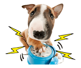 THE DOG sticker #11657859